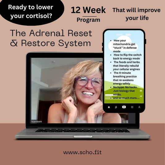 Adrenal Reset Program - Presale pricing