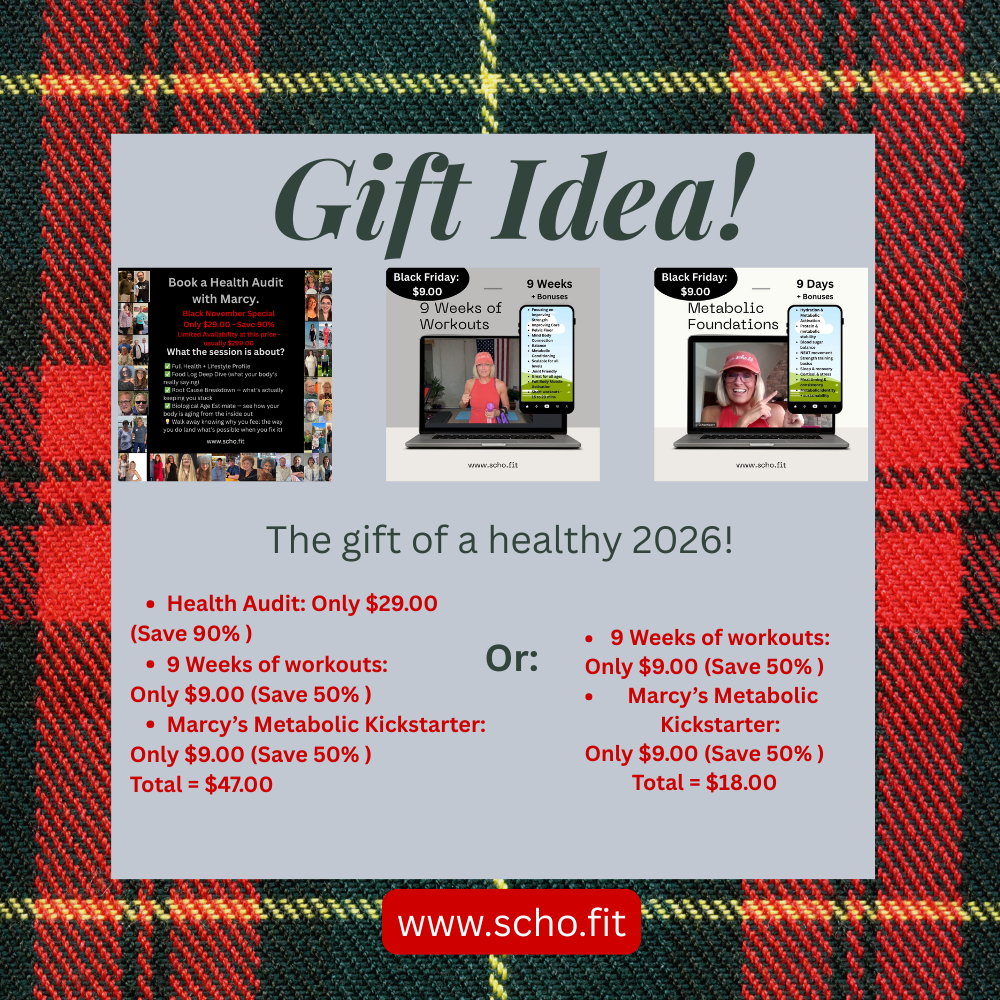 Gift: Health Audit Plus 2 MIni Programs