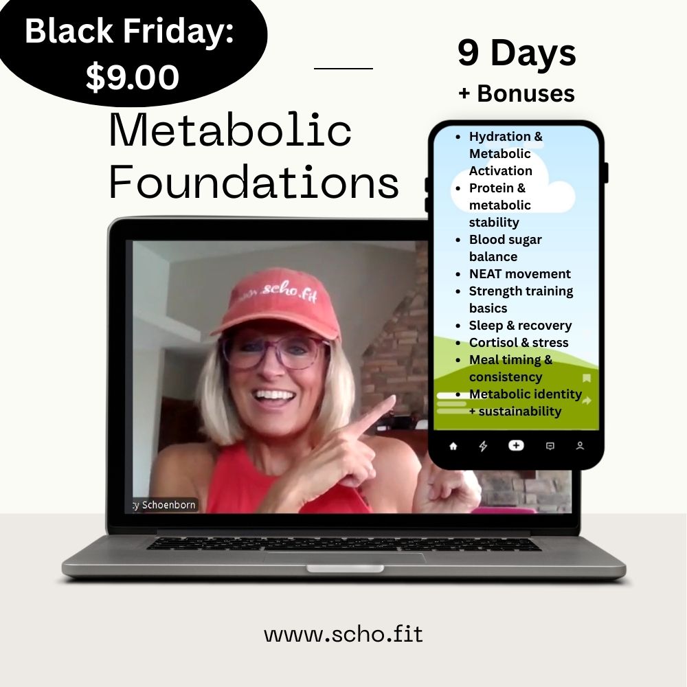 Gift: Health Audit Plus 2 MIni Programs